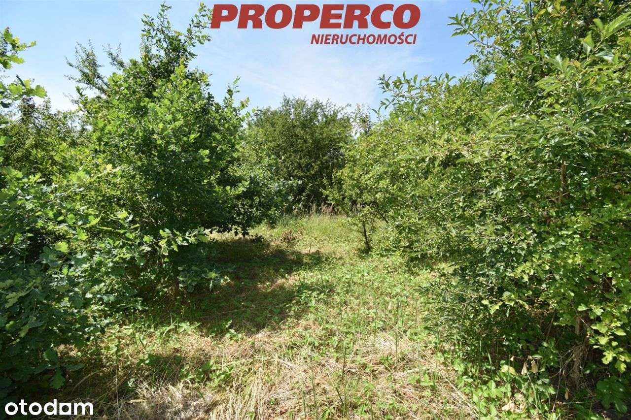 Działka 1230 m2, Piaski nad Rzeką - Pełny obrazek: 3/3