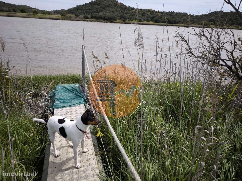 TERRENO COM 1.360 M2 - COM FURO - ÁGUA E ELETRICIDADE - JUNTO AO RI... - Grande imagem: 5/45