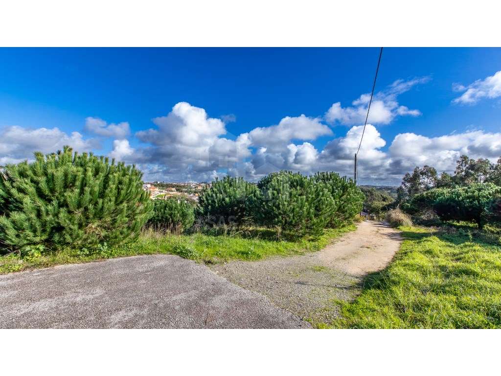 Vende Armazém - Ericeira 3 km, A Casa das Casas - Grande imagem: 5/13