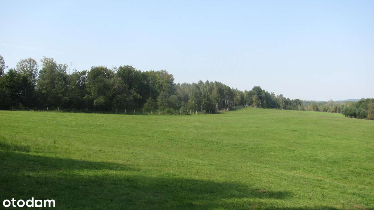 Siedlisko w Bieszczadach-1