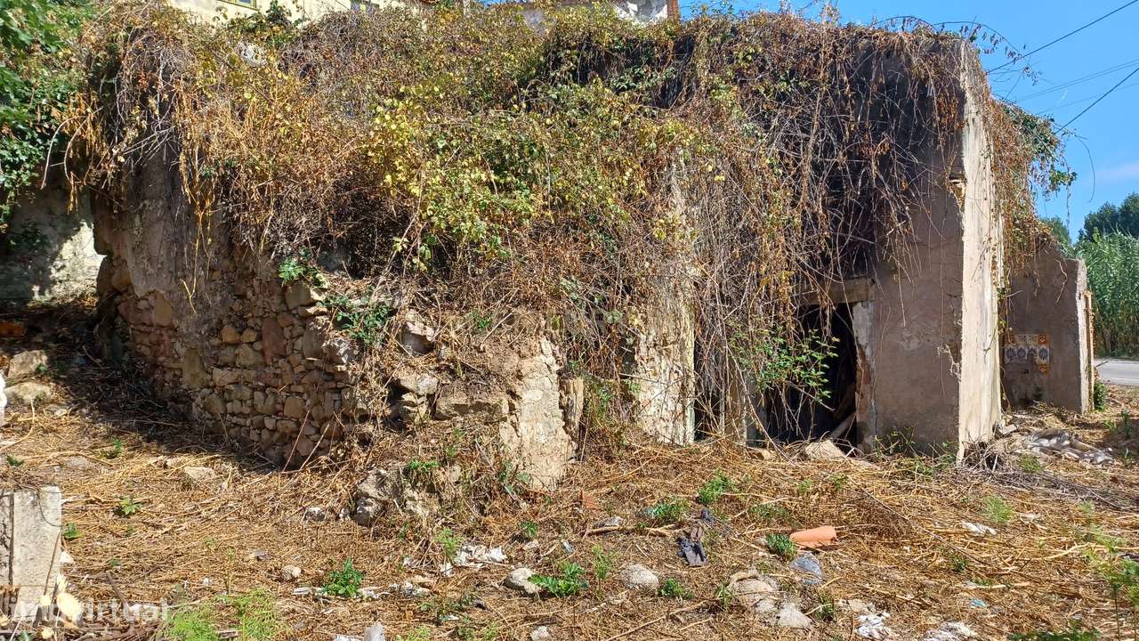 Vendo Quinta em Coimbra-23