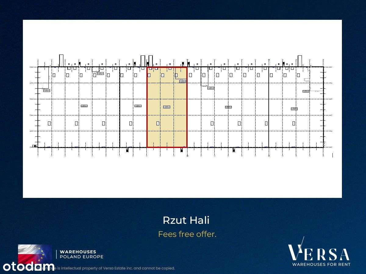 Magazyn 2235 mkw - prowizja 0% - Pełny obrazek: 4/7