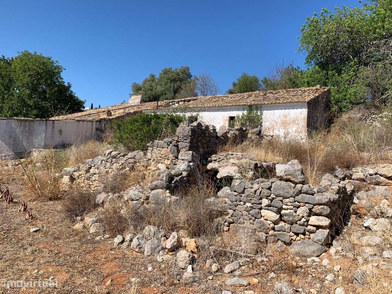 Terreno Urbano, com 3 artigos, Colmeal-18