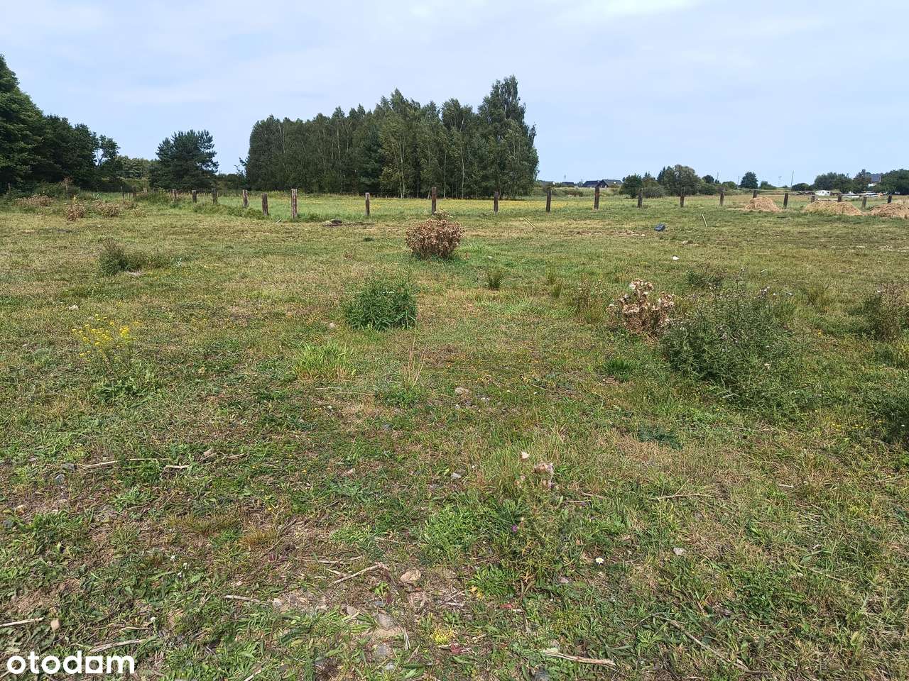 Piękna działka pod zabudowę nad Iną Stargard-Lubowo - Pełny obrazek: 2/6