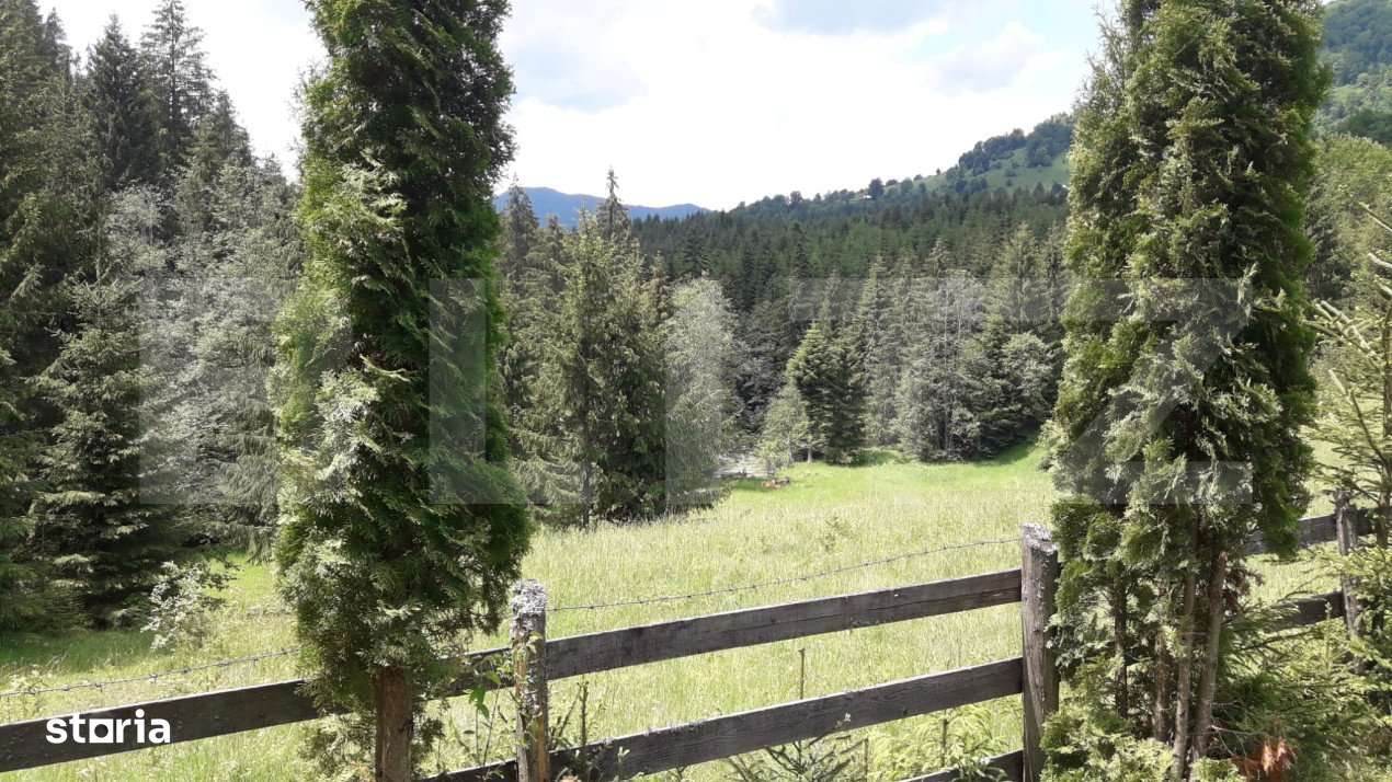 Casa de vacanta in Piatra Fantanele + 4,5 arii teren - Imagine principală: 5/19