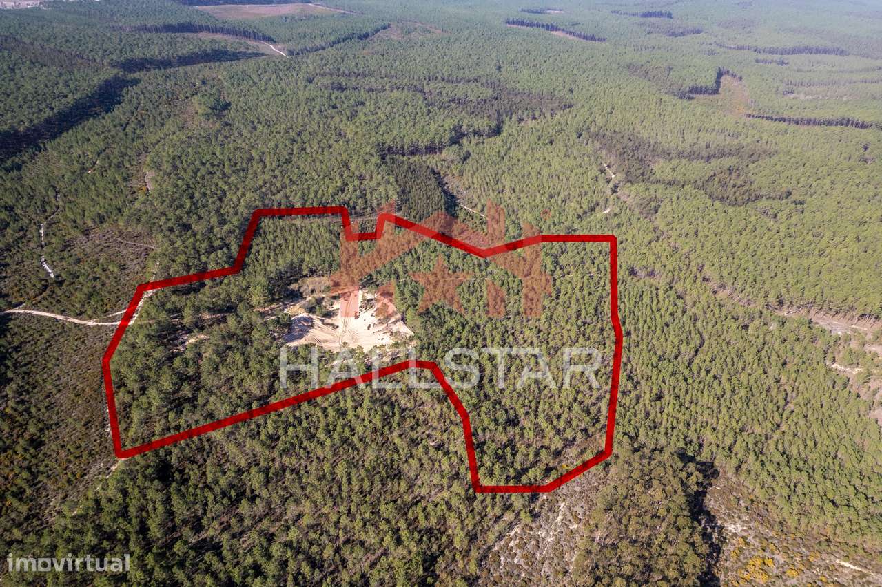 Terreno Florestal / Pinhal / Área Total de 59.400m2 / Nazaré - Grande imagem: 3/28