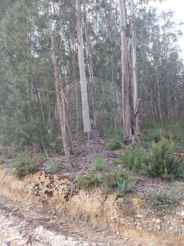 Terreno  para venda - Grande imagem: 3/6