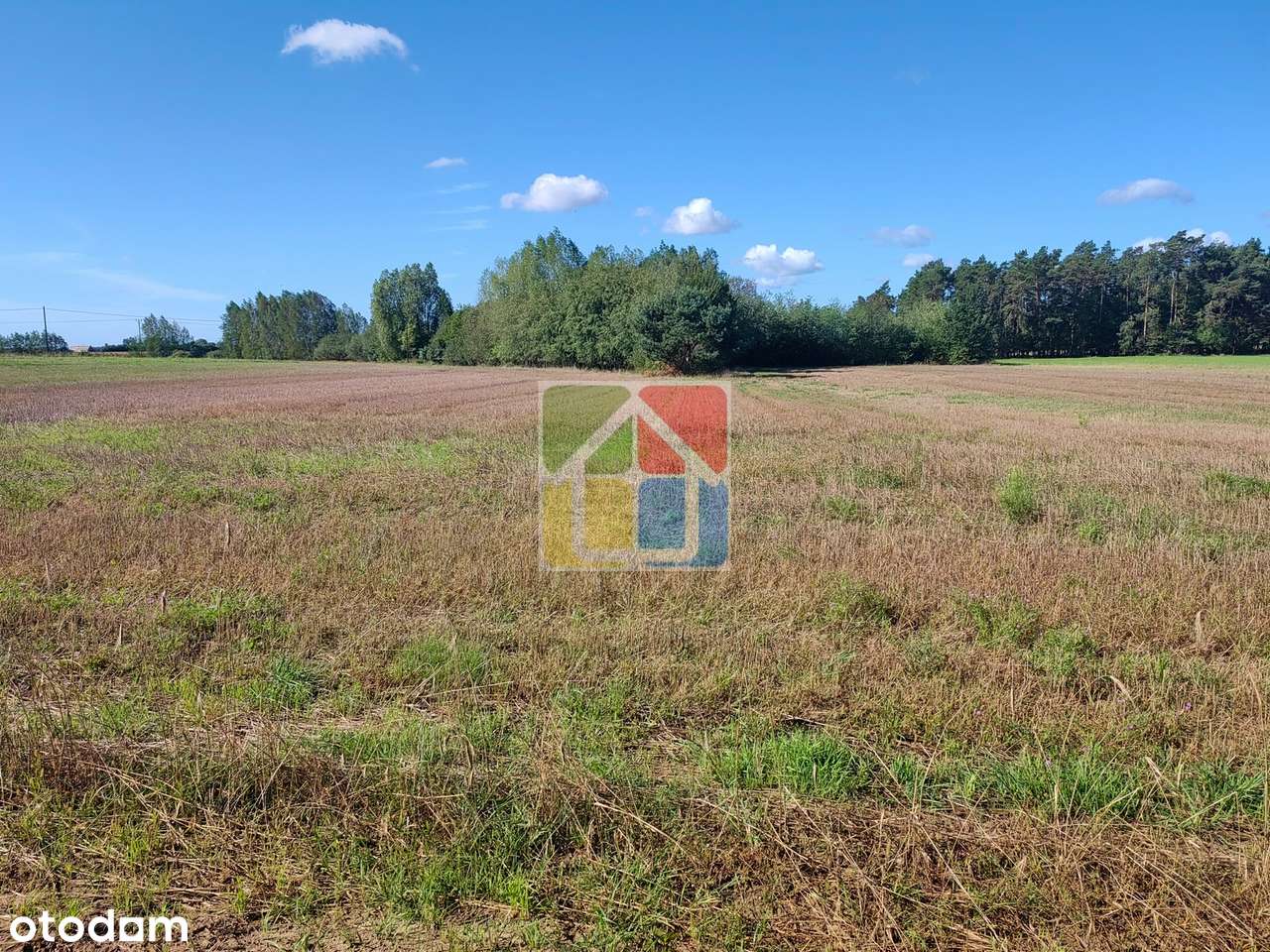 Duża działka rolno-budowlana w okolicy Gostynina-1