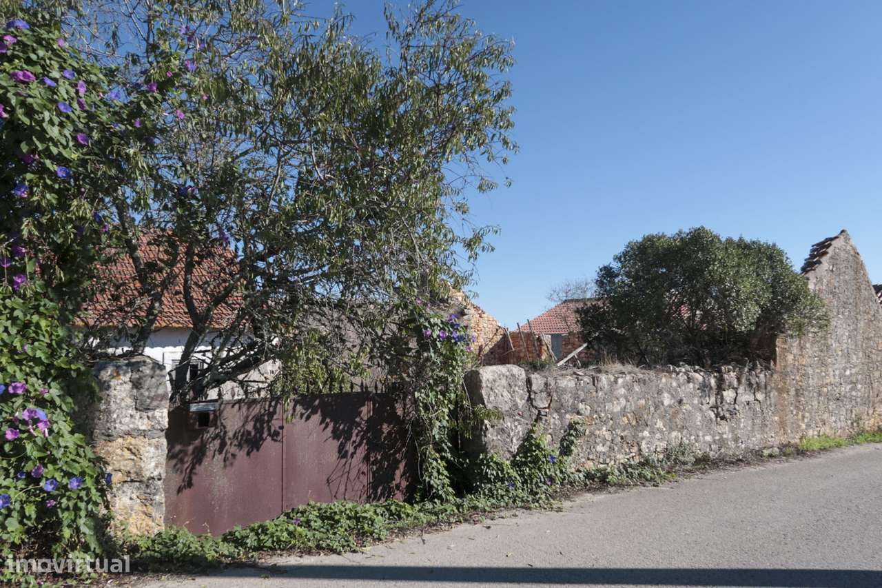 Terreno Urbano - 2 Artigos - Vale da Perra - Fátima - Ourém - Grande imagem: 4/13