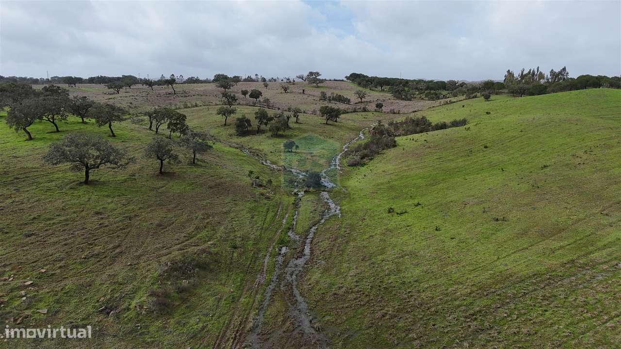 Herdade T4 Venda em Ourique,Ourique-15