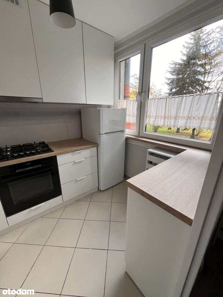 Przytulne , dwupokojowe mieszkanie na Zakrzowie - Pełny obrazek: 2/11