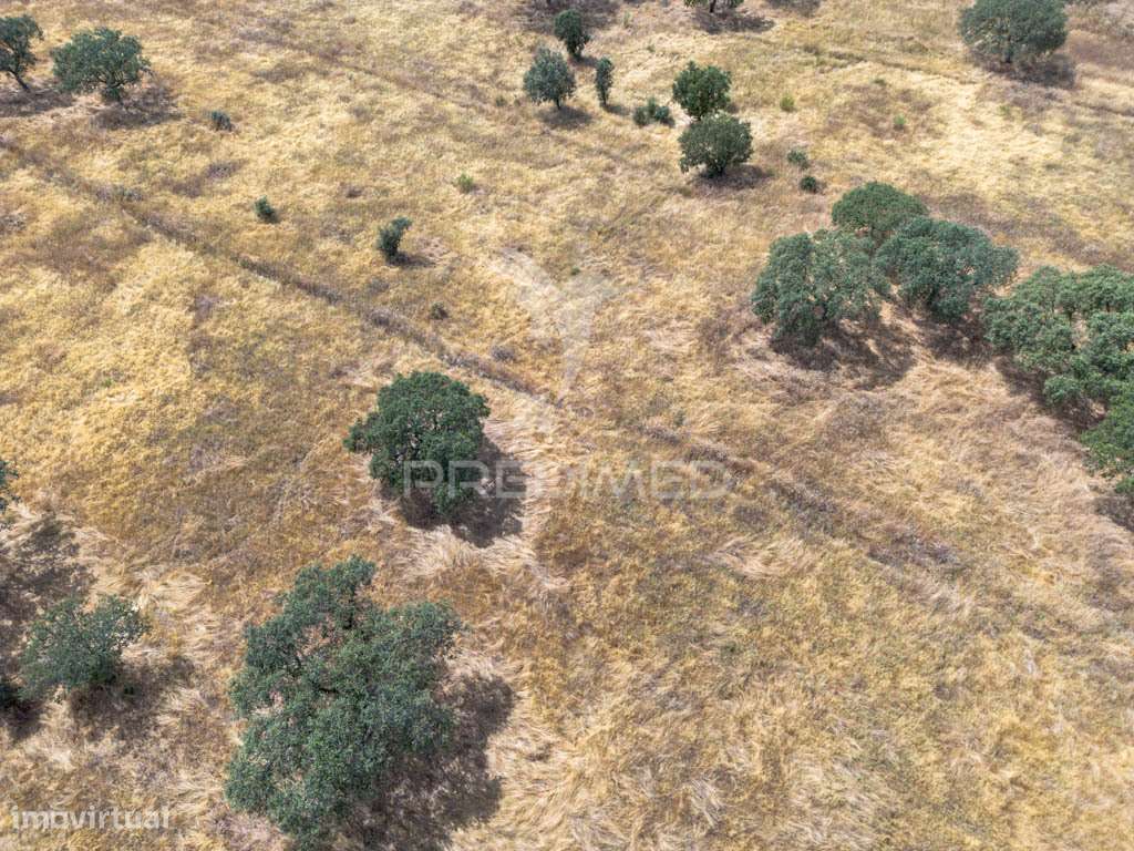 Terreno Rústico de 9,975 Hectares à venda, Capelins - Grande imagem: 5/16