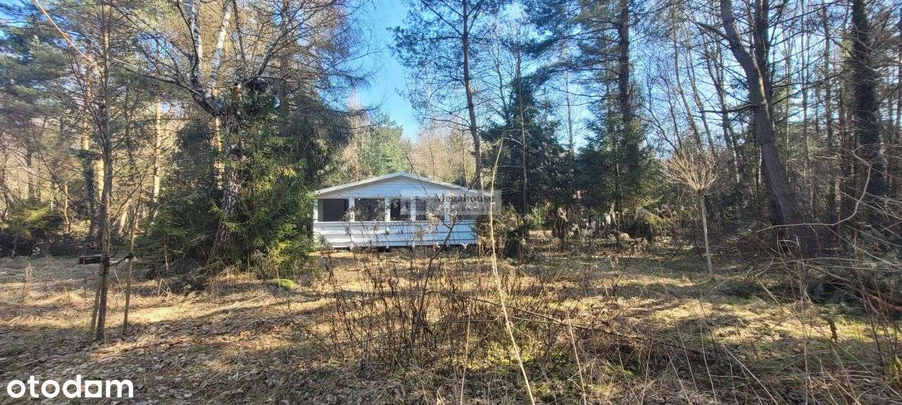 Wspaniała lokalizacja, Sosnówka Kolonia-1