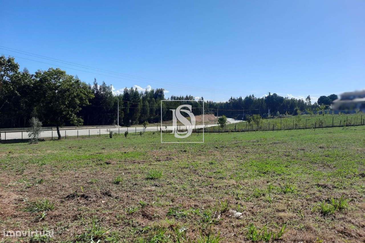 Terreno junto Zona Industrial Mortágua - Grande imagem: 2/5