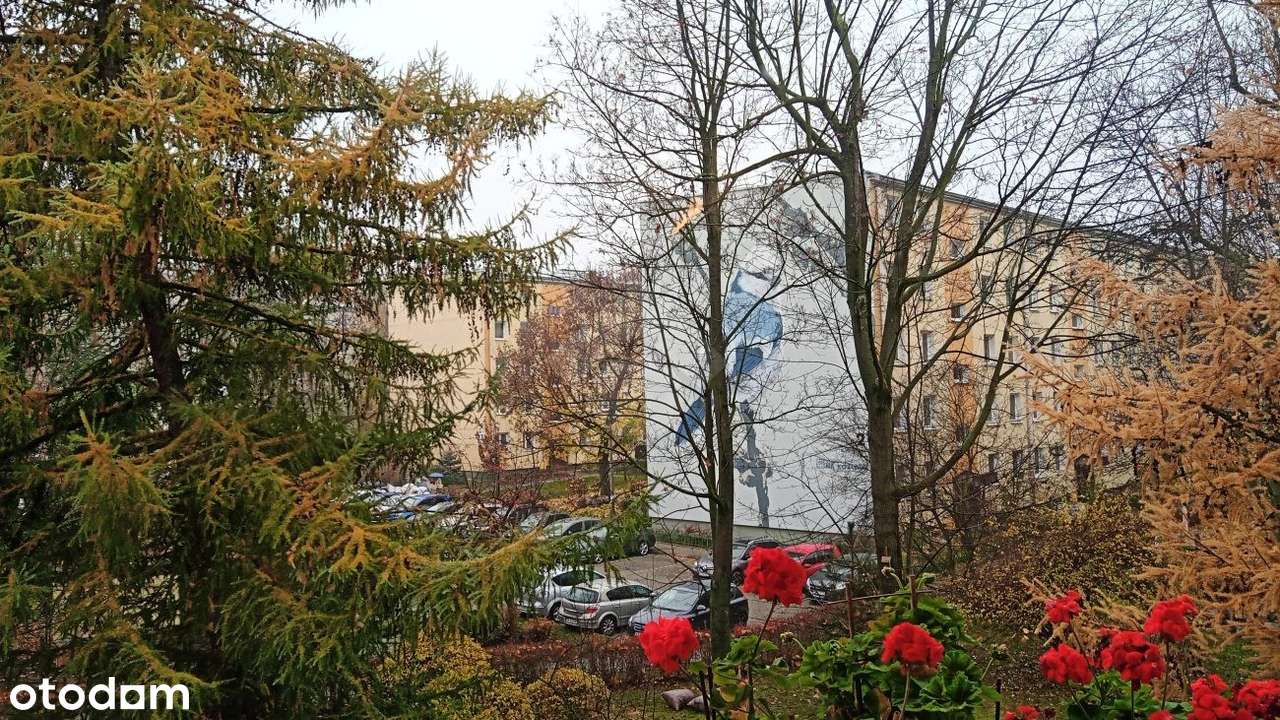 2 pokojowe mieszkanie z balkonem do wejścia-11