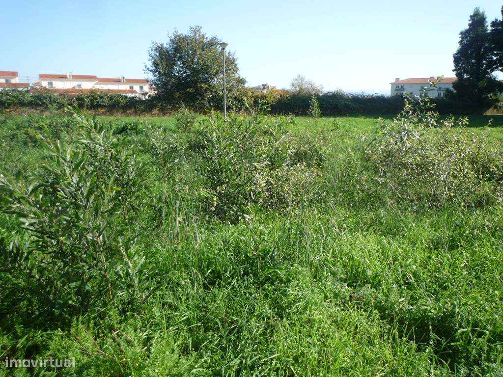 Lote de Terreno em Albergaria-a-Velha - Grande imagem: 5/5