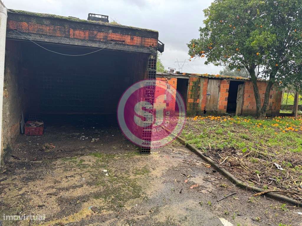 Moradia térrea T2 em lote de 450 metros, com grande potencial-14