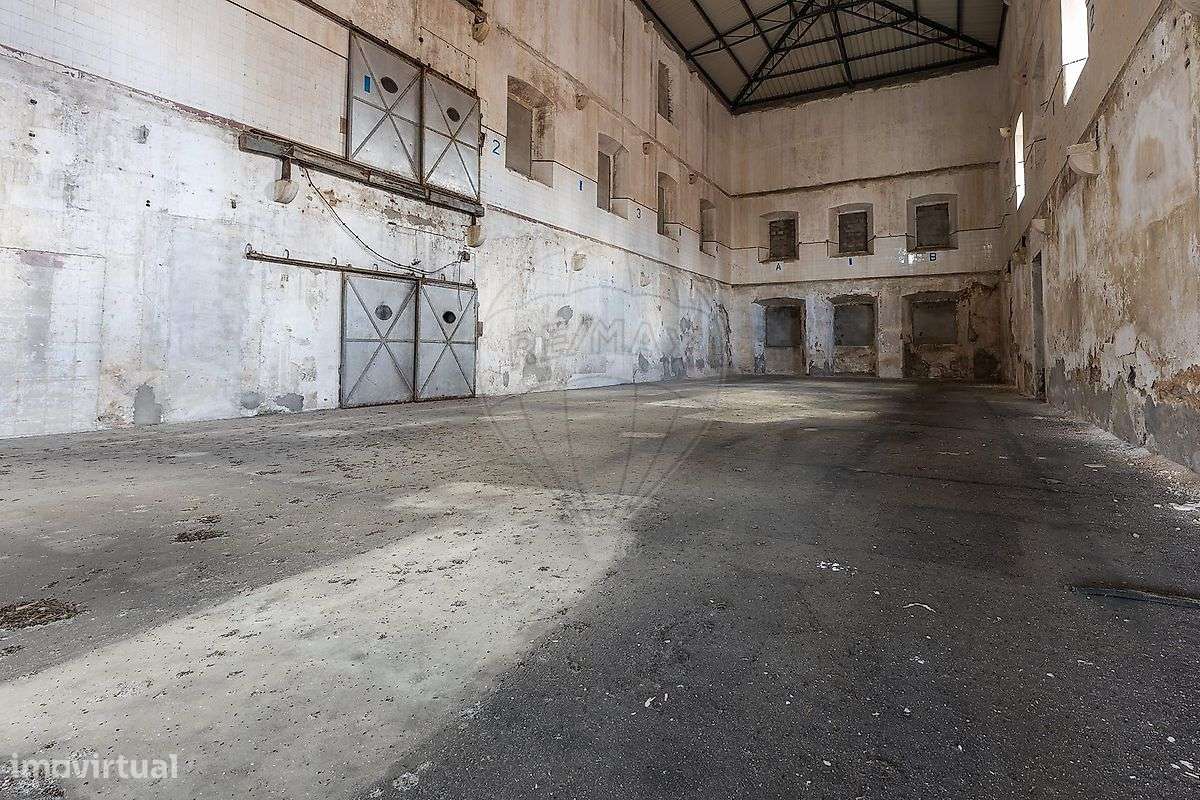 Investimentos T0 para venda - Grande imagem: 5/43