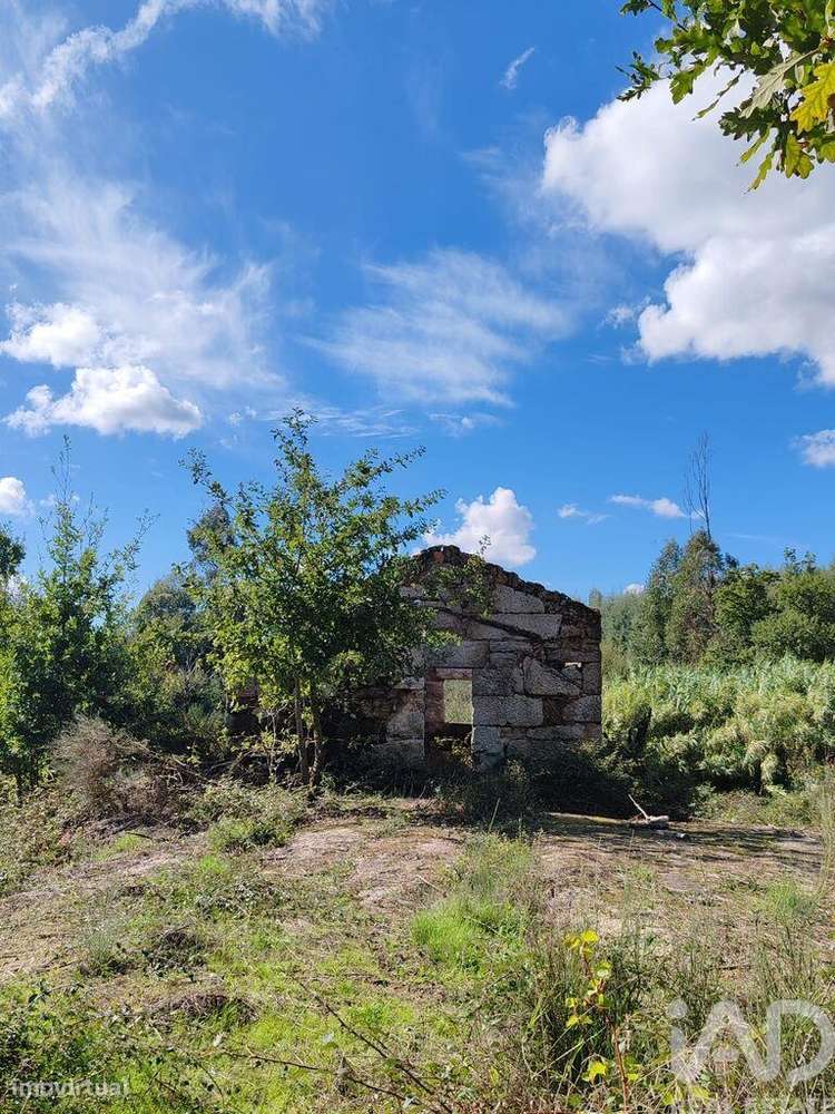 Terreno Agrícola em Seixo da Beira de 31075,00 m2 - Grande imagem: 2/12