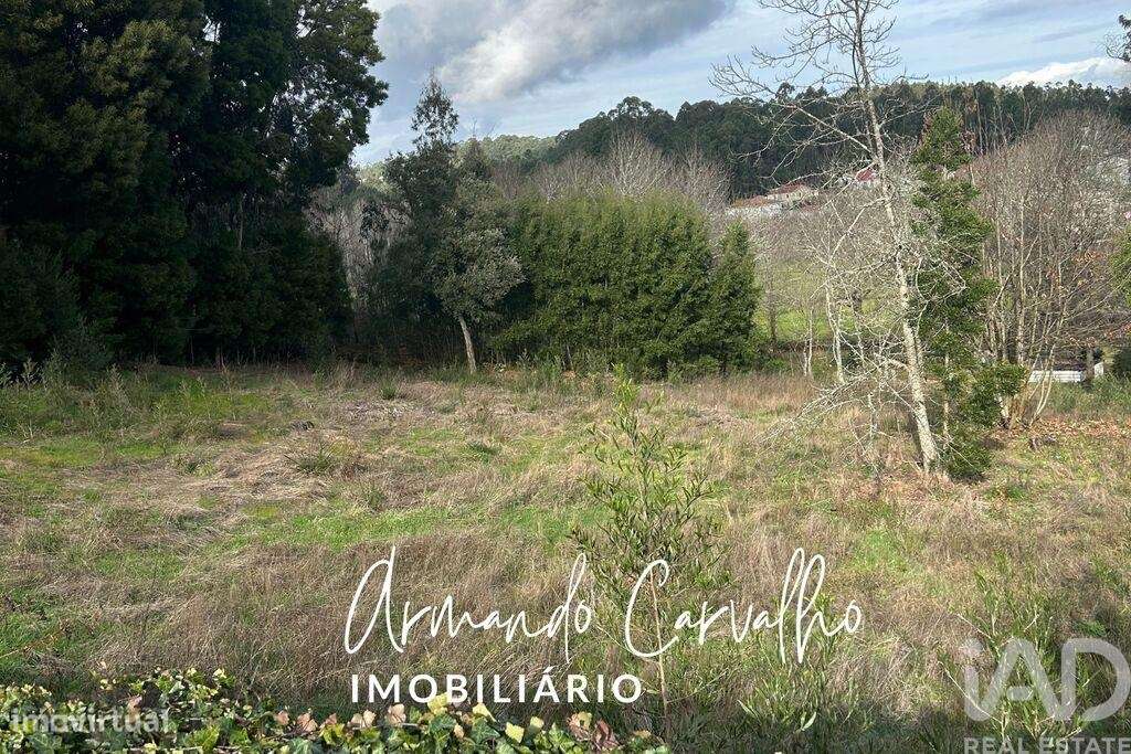 Terreno para construção em Lobão, Gião, Louredo e Guisande - Grande imagem: 5/6
