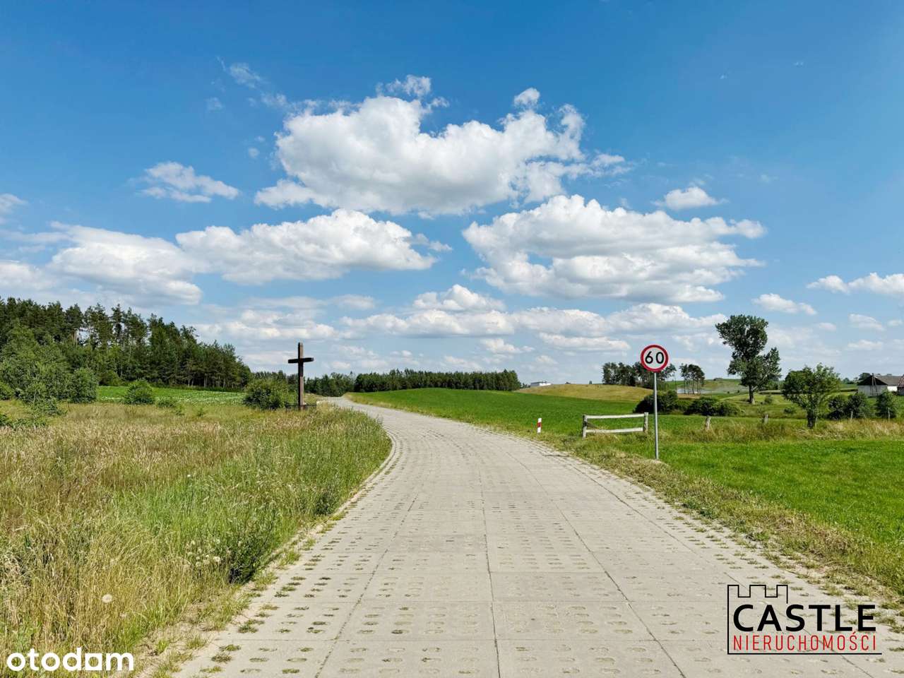 Borek I blisko Gowidlino I blisko stadniny koni I Kaszuby - Pełny obrazek: 4/7