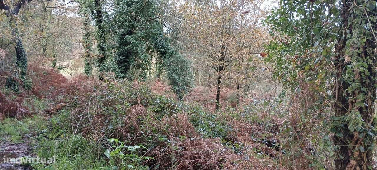 Terreno  para venda - Grande imagem: 3/7