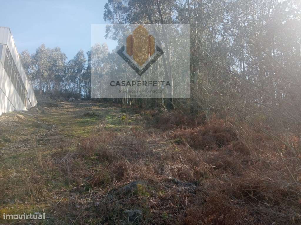 Terreno Rústico com 5137 m2 - Freamunde - Grande imagem: 3/12