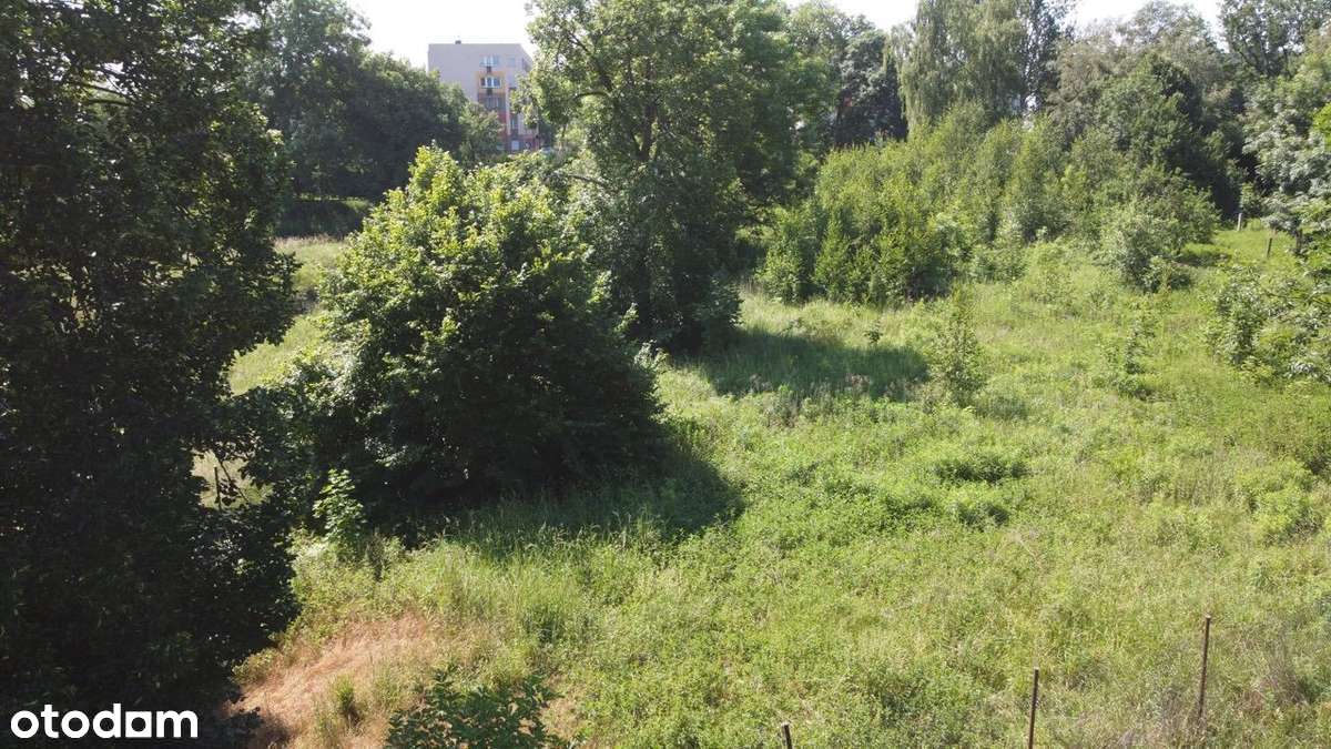 Nieruchomość z potencjałem - zabudowania/działka-2