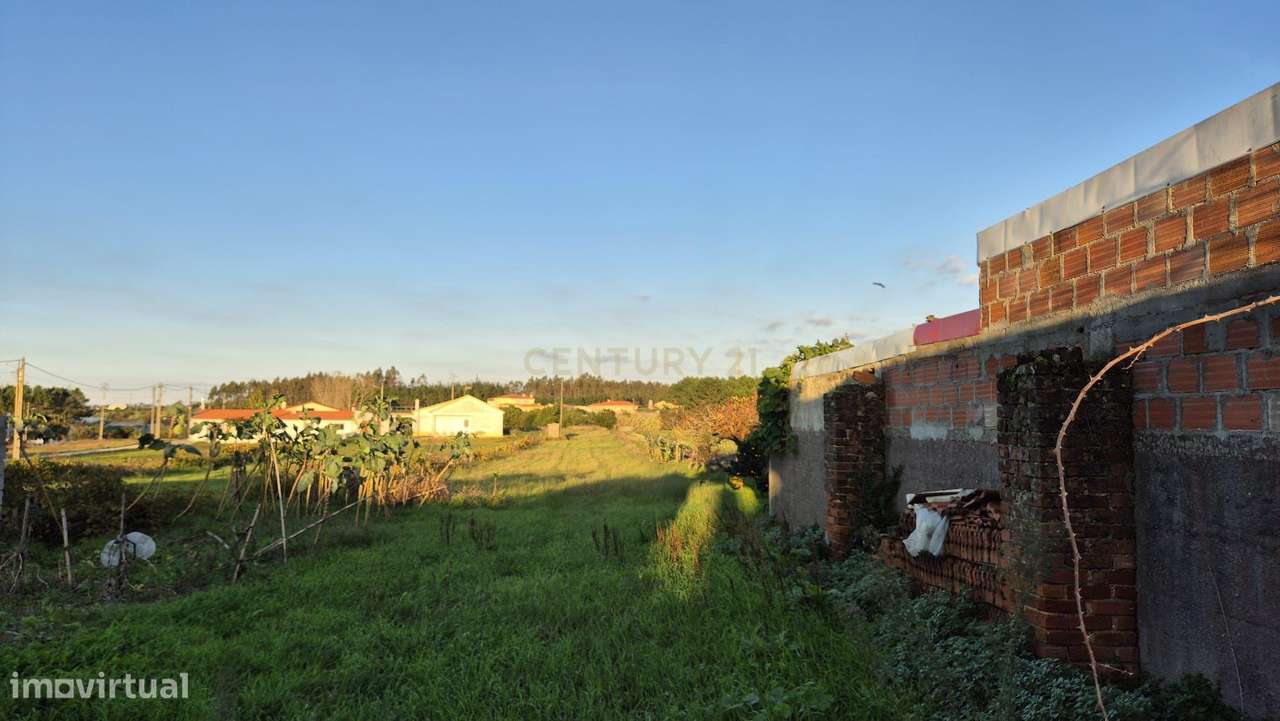 Casa Antiga em Carriço, Pombal - Oportunidade Única-15