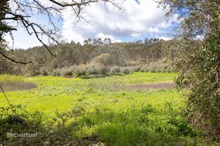 Terreno  para venda - Grande imagem: 4/21