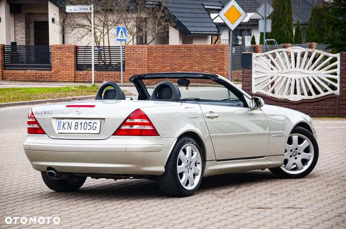 Mercedes-Benz SLK 230 Kompressor - 20