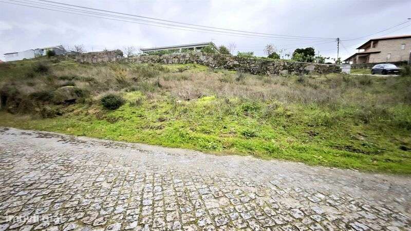 Terreno para Construção / Penafiel, Cabeça Santa-9
