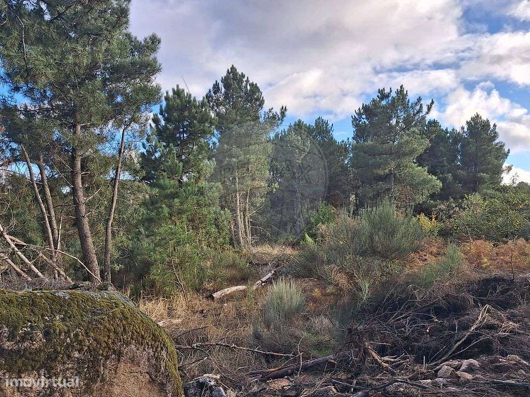 Terreno  para venda - Grande imagem: 5/15