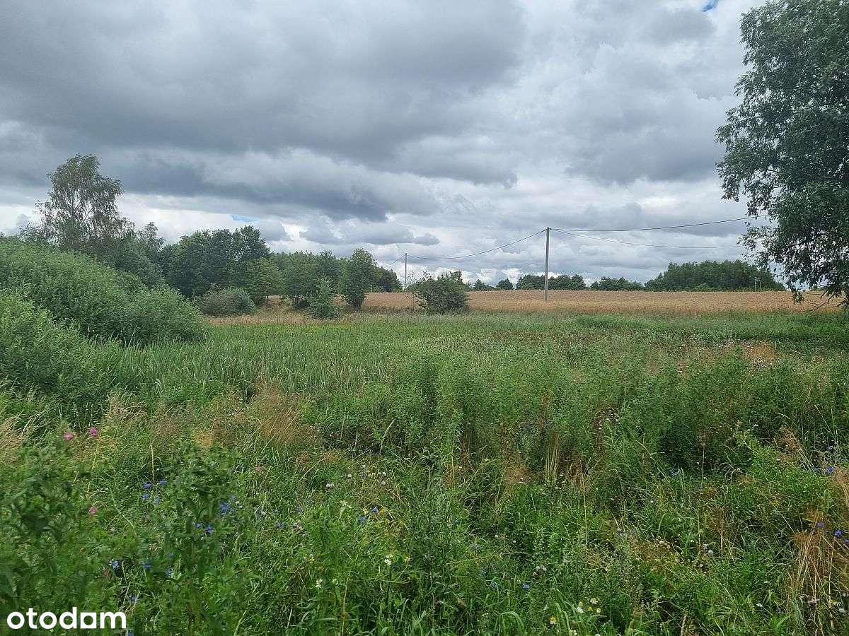 Inwestycja na wiejską osadę 6 domów-16