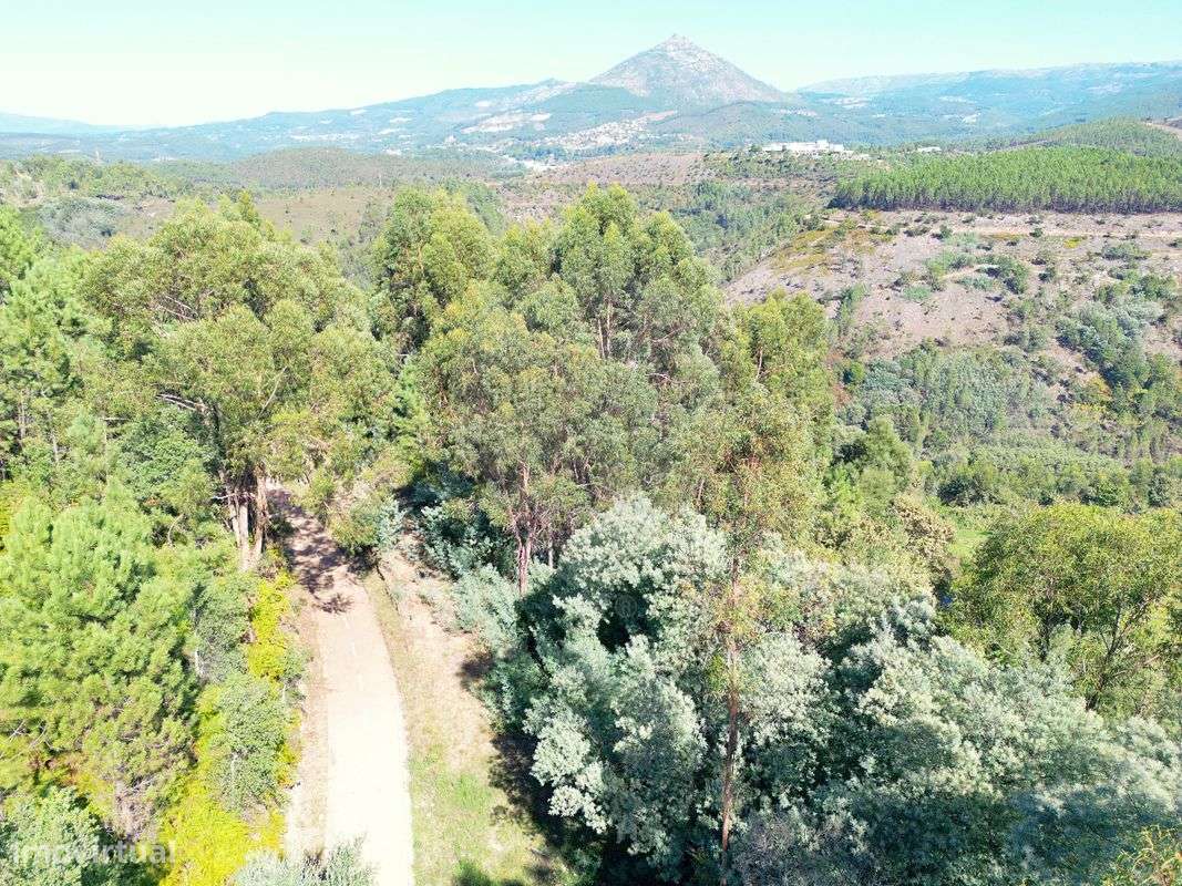 Terreno  para venda - Grande imagem: 4/6