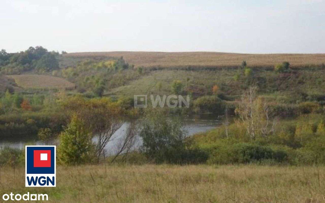 Działka Z Linią Brzegową Jeziora-9