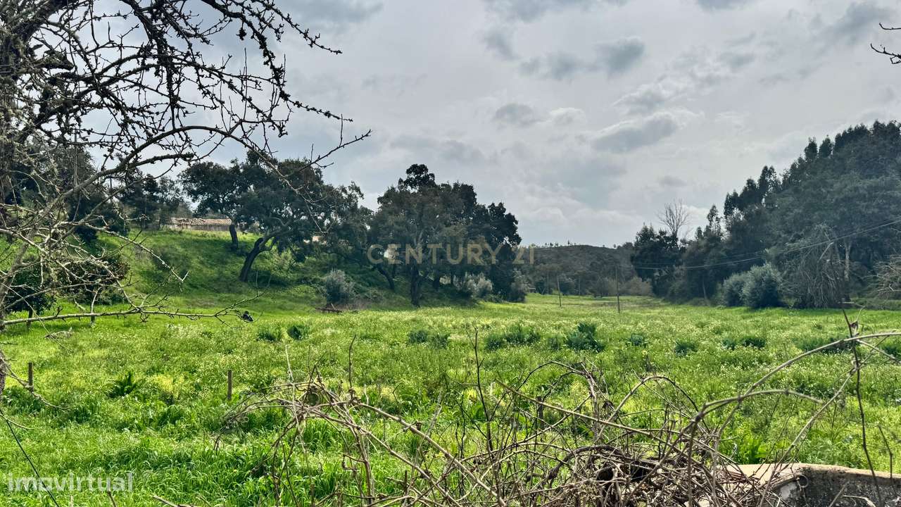 Terreno Rústico - Grande imagem: 3/4