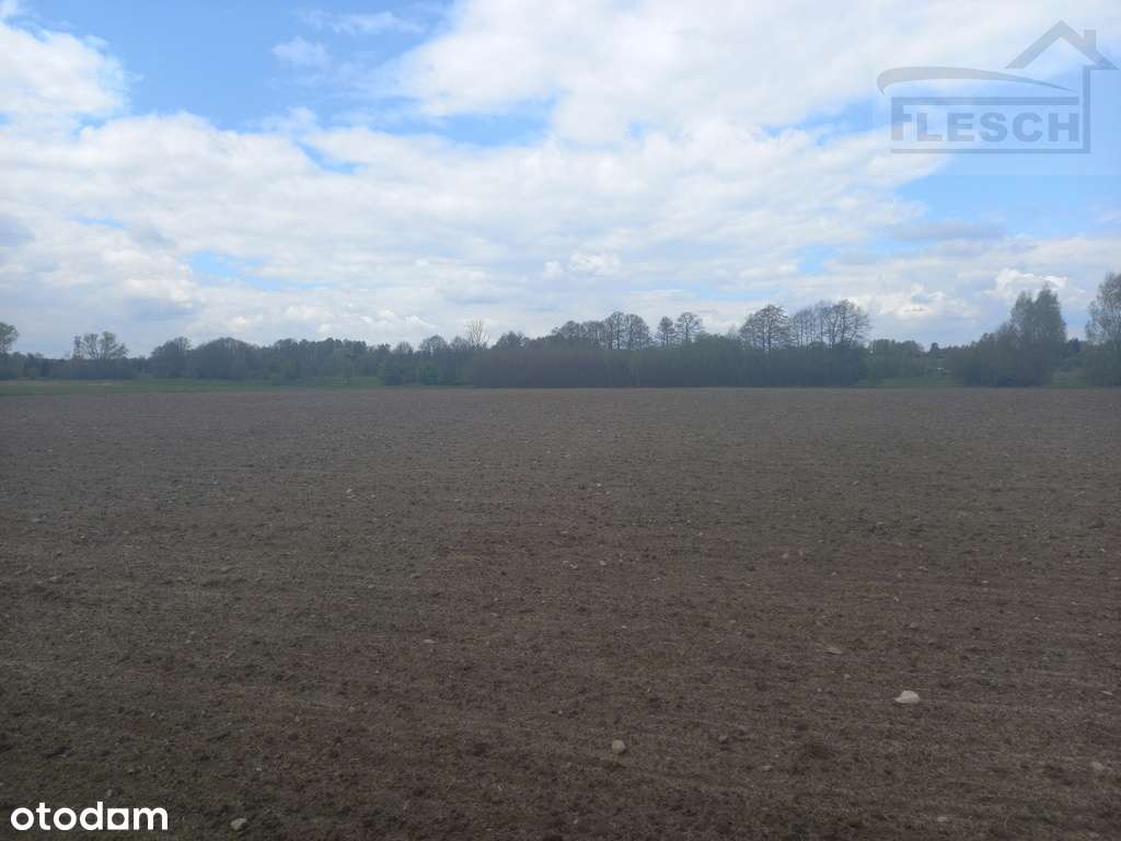 Działka rolno-budowlana 1,5 ha Lisówek - Pełny obrazek: 4/18