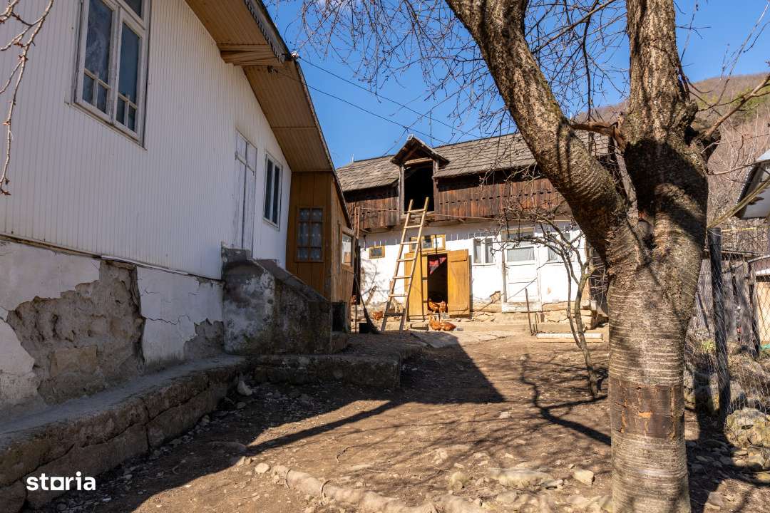 Ai plecat din Solont, dar terenul asta de 1737mp te cheama inapoi-3