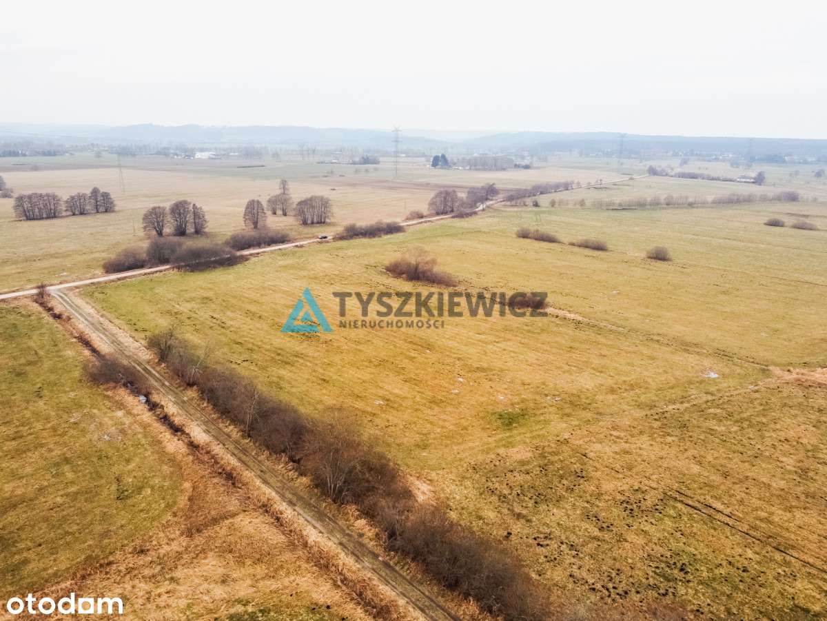 Duża działka rolna w pobliżu jeziora - Pełny obrazek: 4/20