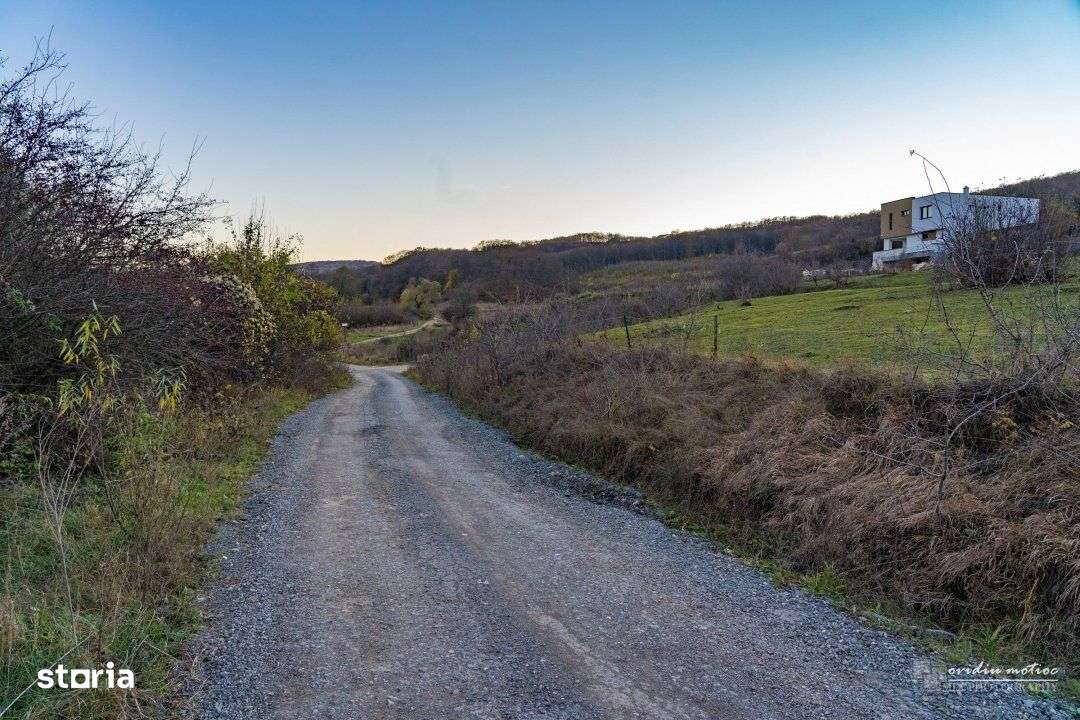 Teren investitii Valea Garbaului, CF+CU - Imagine principală: 3/7