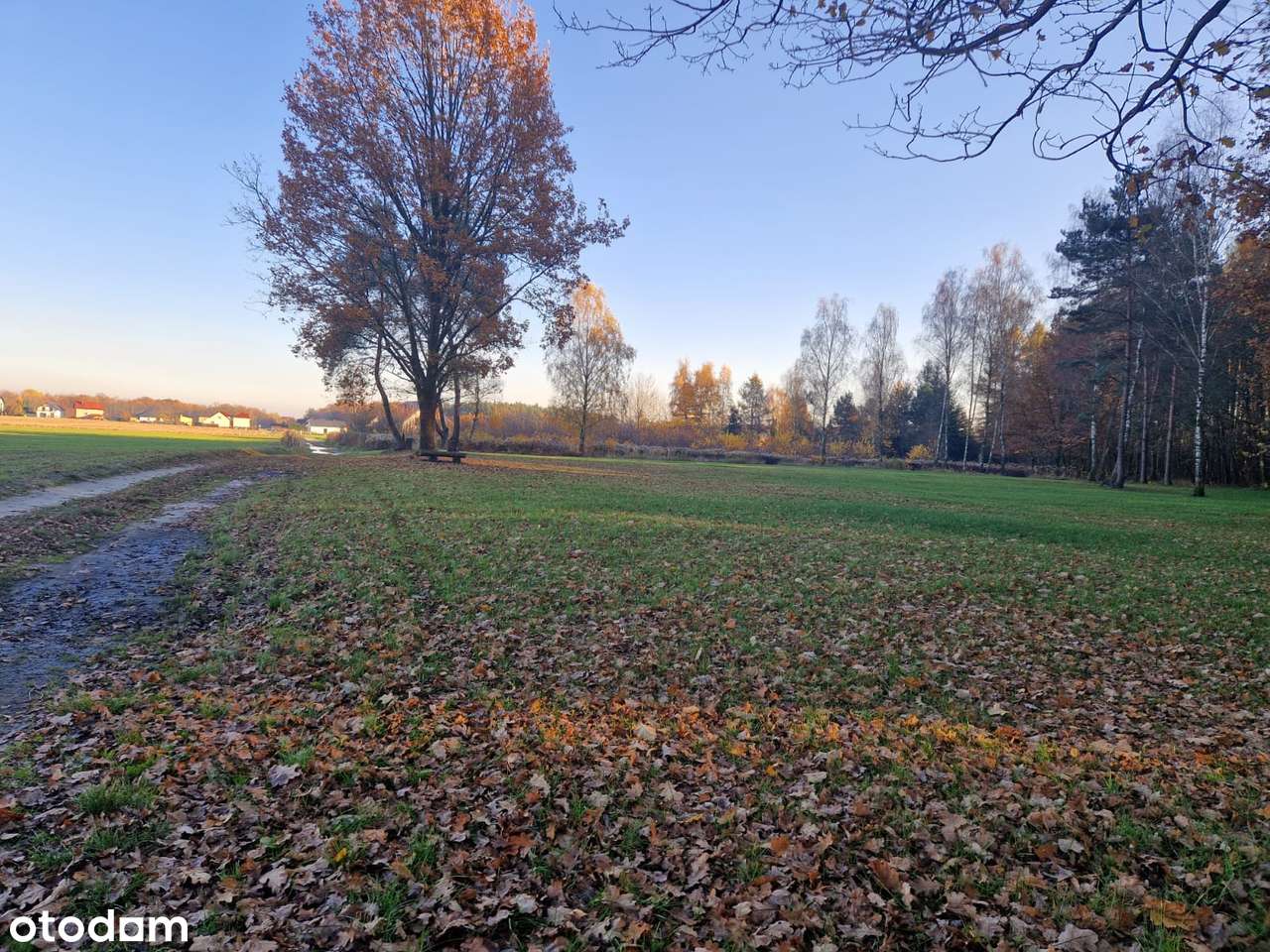 Nieborowice działka budowlana-1