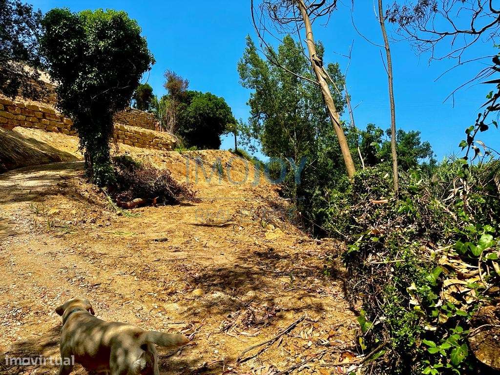 Magnífico Terreno para Construção na Ericeira - Grande imagem: 4/14