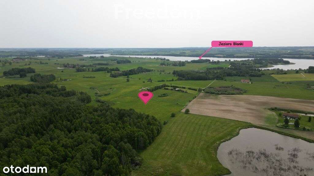 Działka przy lesie w pobliżu jezi, Blanki, 8000 m² - Pełny obrazek: 4/9