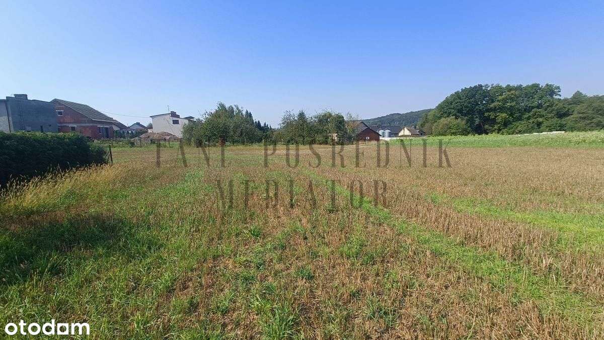 Działka Gorzyce - Osiny w sąsiedztwie lasu.-8