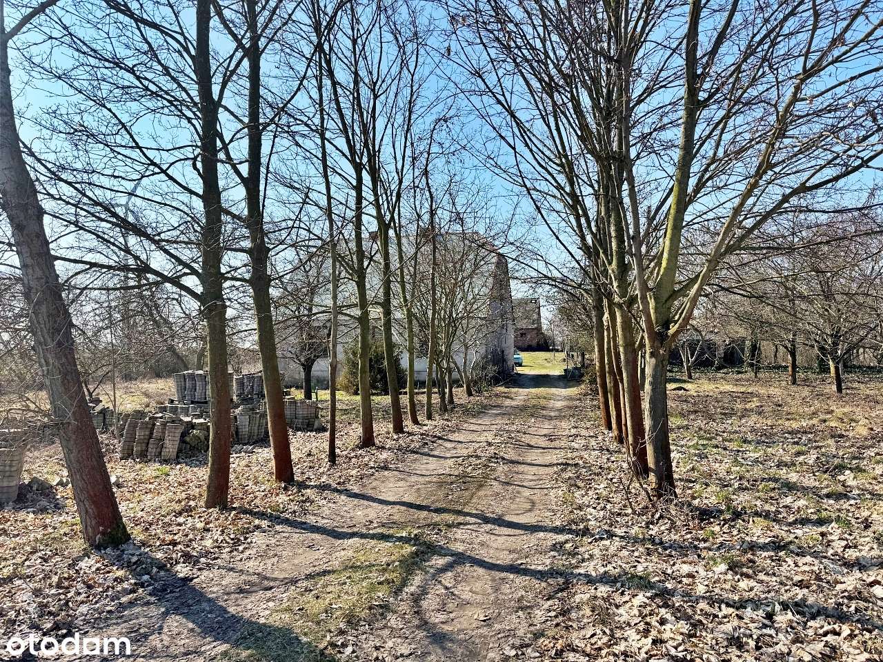 Dom wolnostojący, działka 7700m2, ustronna lokalizacja - Pełny obrazek: 4/19