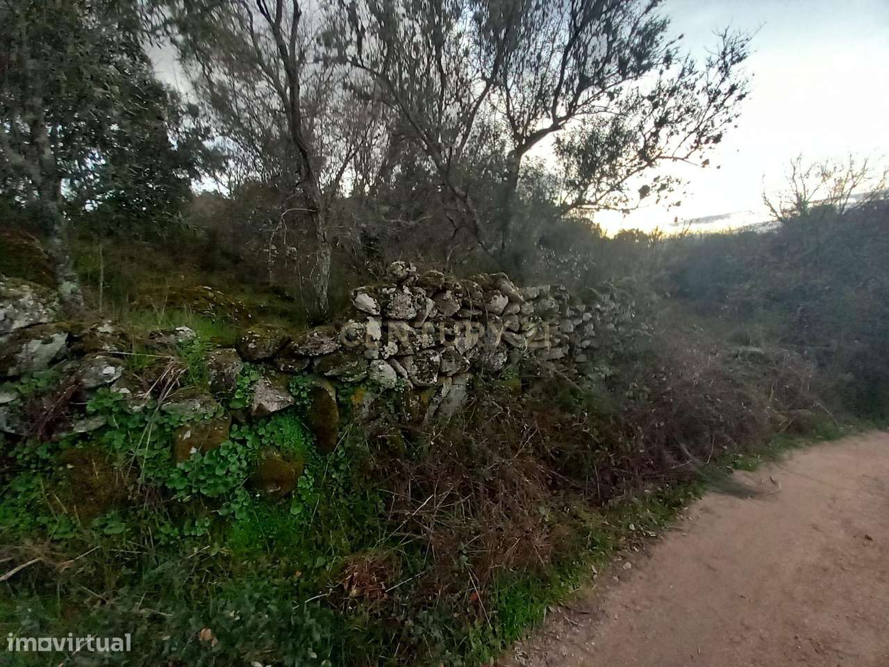 Terreno com Vista Panorâmica em Aldeia de Santa Margarida - Grande imagem: 4/7