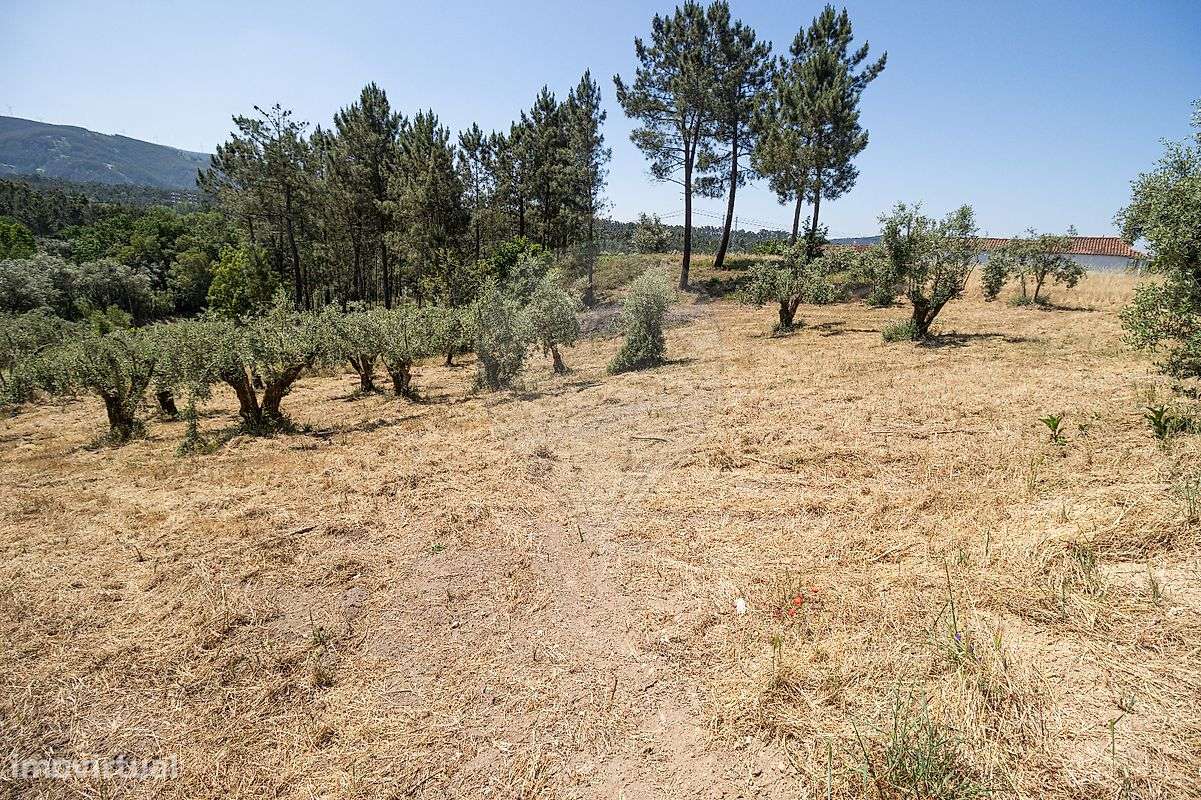 Terreno  para venda-10
