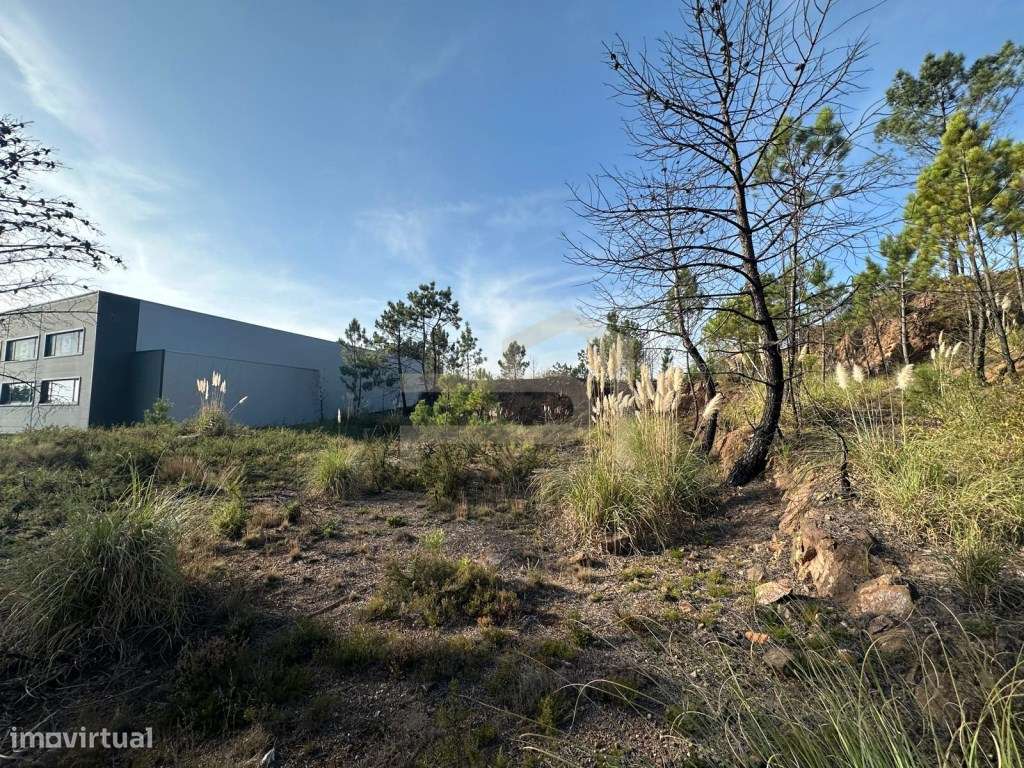 Lote industrial para venda em Vilarinho das Cambas - Grande imagem: 5/5