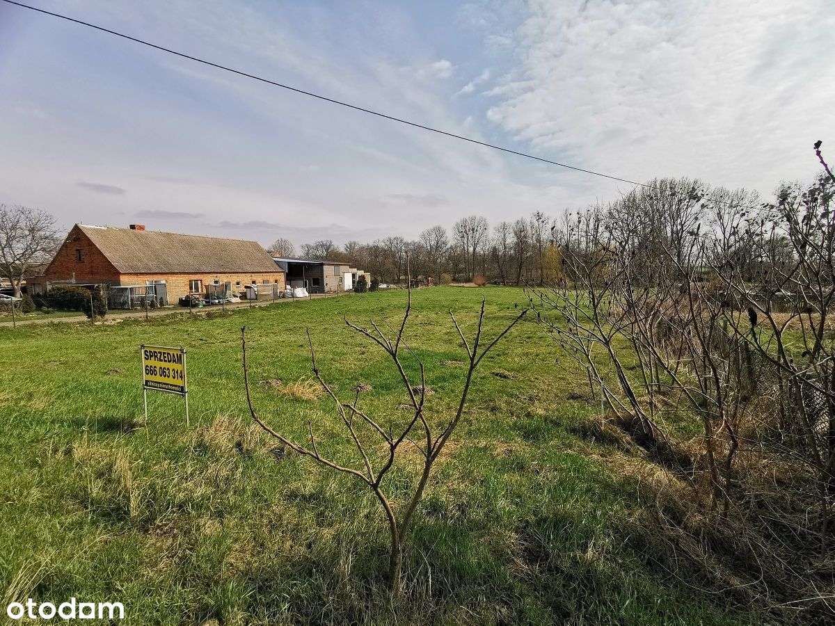 Działka pod zabudowę w Kajewie k. Gołuchowa-4